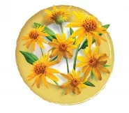 Arnica boiron