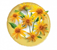 arnica boiron